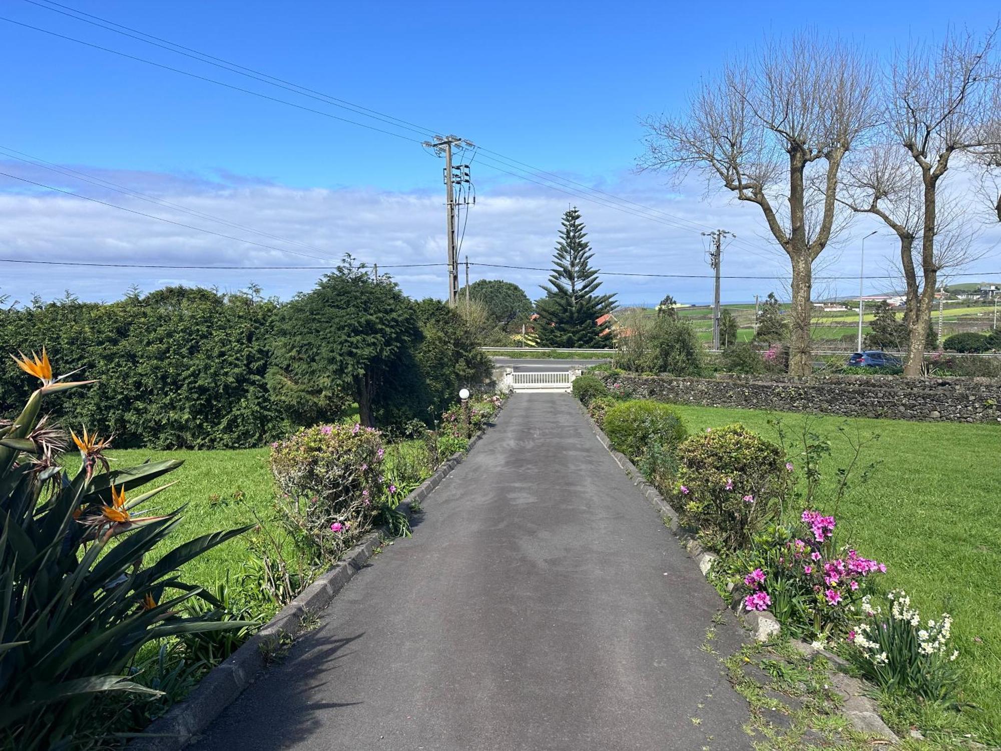 Quinta Relax Azores Ribeira Grande Eksteriør billede